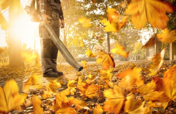 Leaf Blowing Service in Shelton