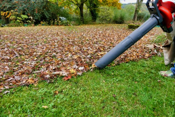Leaf Vacuuming Service in Shelton