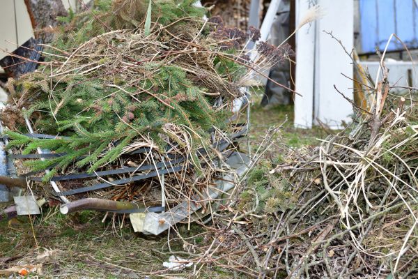 Yard Debris Removal in Shelton