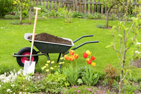 Spring Yard Cleanup in Shelton