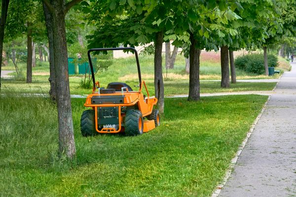 Landscaping Cleanup Service in Shelton