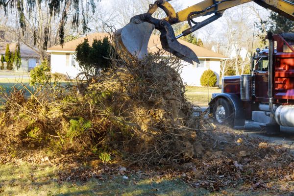 Storm Debris Removal in Shelton