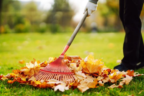 Ditch Leaf Removal in Shelton