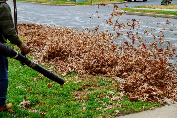 Garden Leaf Removal in Shelton