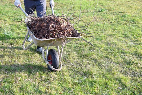 Yard Brush Removal in Shelton