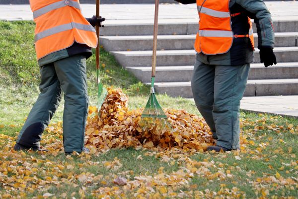 Leaf Hauling Service in Shelton
