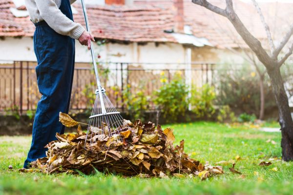 Spring Lawn Cleanup in Shelton