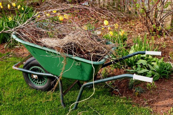 Lawn Waste Removal in Shelton