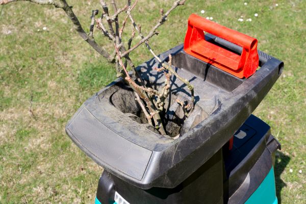 Brush Cleanup Service in Shelton