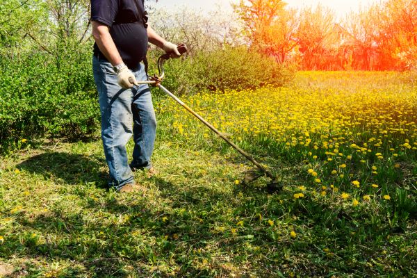 Yard Clearing Service in Shelton