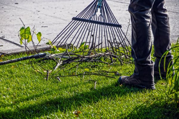 Yard Debris Cleanup in Shelton