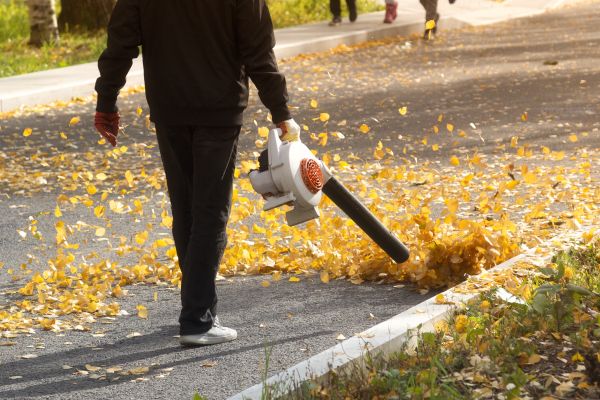 Commercial Leaf Removal in Shelton