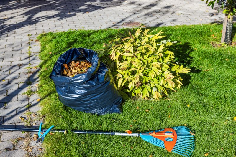 Leaf Clearing Services