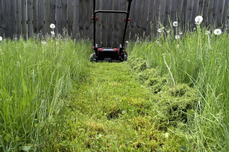 Lawn Clean Up Equipment